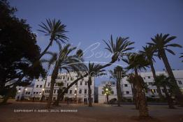 Image du Maroc Professionnelle de  Les palmiers du Jardin Arste Zerktouni, un des premier espace vert située à l'intérieur de la médina de Casablanca, Jeudi 22 Septembre 2016. (photo Abdeljalil Bounhar) 